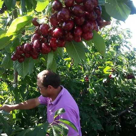 Senderos Del Jerte Apartamento *