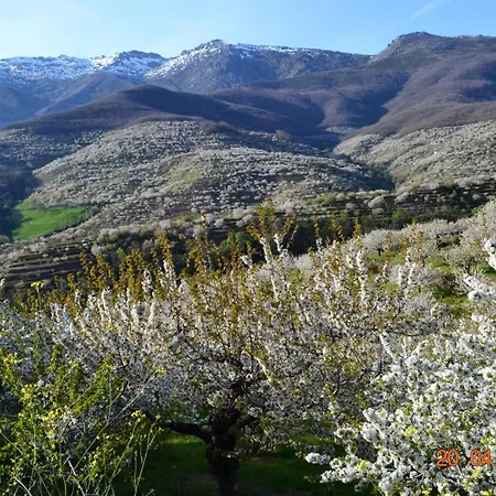Senderos Del Jerte Navaconcejo