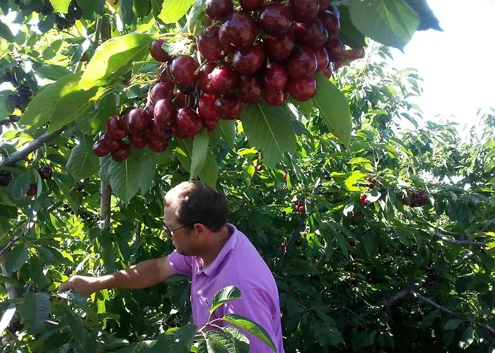 Senderos Del Jerte Lejlighed *